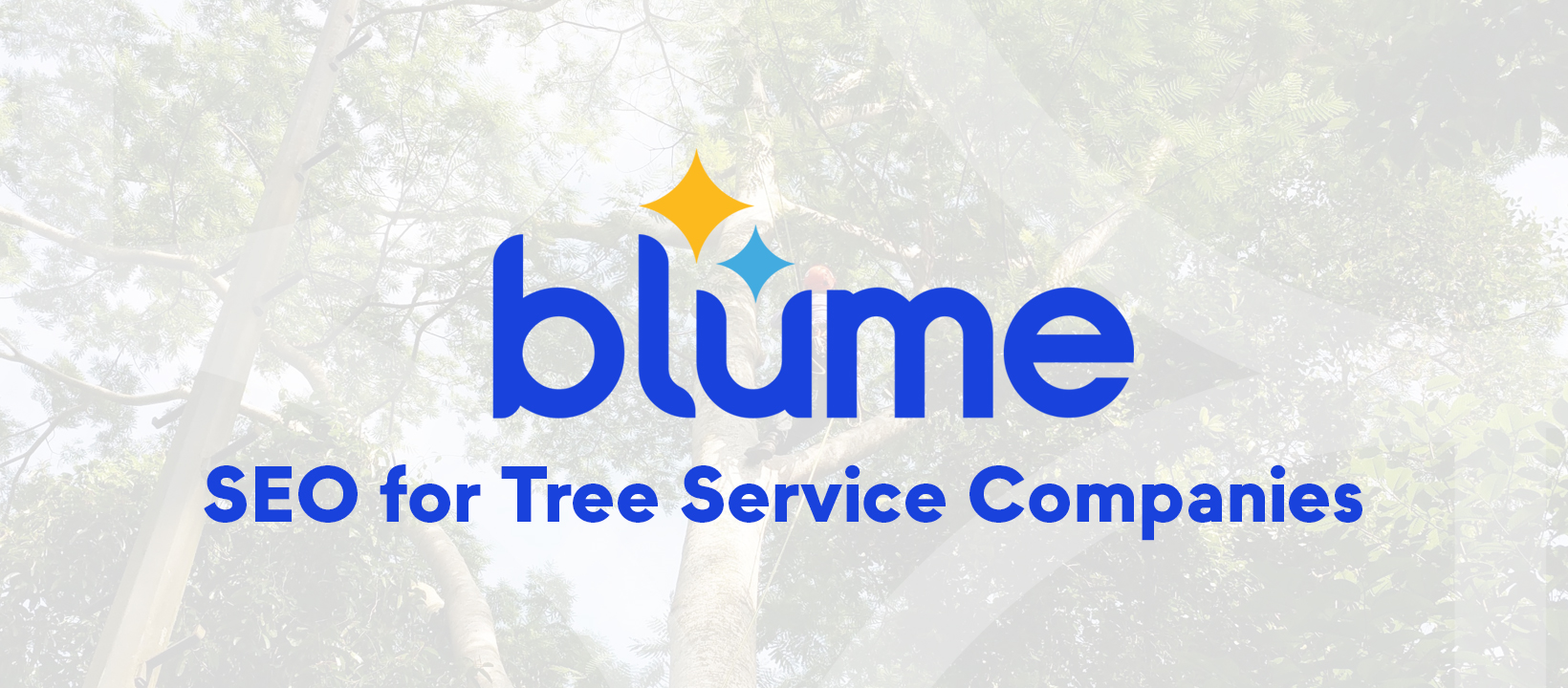 The Blume Agency logo with the text “SEO for Tree Service Companies” centered over a faint image of trees for professional tree care marketing.